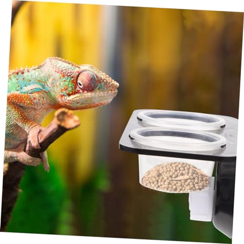 Happyyami Large Reptile Water Dish Gecko Feeder with Double Cups Reptile Feed Platform Random Color