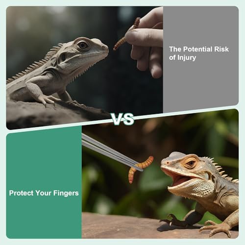 Syn-zer 2PCS Stainless Steel Reptile Feeding Tongs, 10.6 inch Straight and Curved Tweezers for Aquarium, Terrarium & Crafts Bearded Dragon Snake Tank Accessories, Planted Tank Tools Feeder for Lizards - color: Silver
