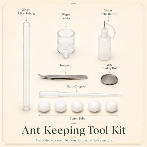Terra Core M Ant Nest with Starter Kit 9 x 8 x 4.33 in - size: Terra Core Series-M