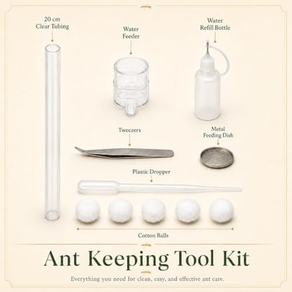 Terra Core Series Progressive Ant Nest with Starter Kit 10.63 x 9 x 5.12 in - size: Terra Core Series-Progressive