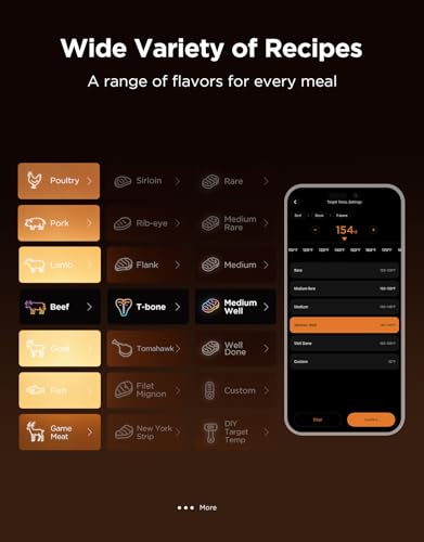 Govee Bluetooth Meat Thermometer, Wireless Meat Thermometer for Smoker Oven, Digital Grill Thermometer with 2 Probes, Timer Mode, Smart LCD Backlight BBQ Thermometer for Cooking Turkey Fish Beef