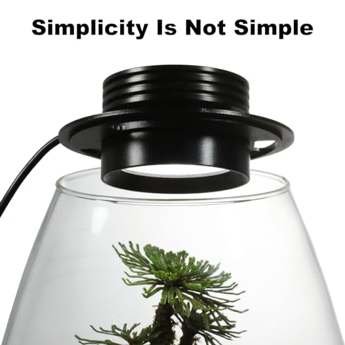 AREPK Glass Terrarium Plant Growing Lamp, for Vases Up to 4 Inches in Diameter, Light with Timer Auto On/Off, Indoor Plant Growth, Succulent, Miniature Gardening Landscape (5W 4IN) - size: 5W 4IN