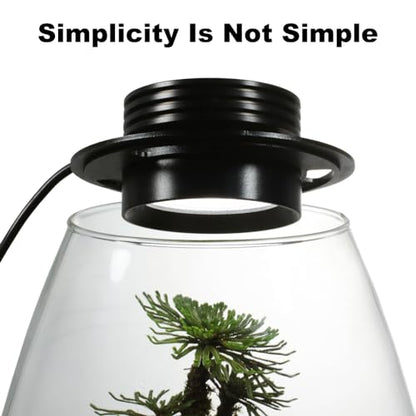 AREPK Glass Terrarium Plant Growing Lamp, for Vases Up to 4 Inches in Diameter, Light with Timer Auto On/Off, Indoor Plant Growth, Succulent, Miniature Gardening Landscape (5W 4IN) - size: 5W 4IN