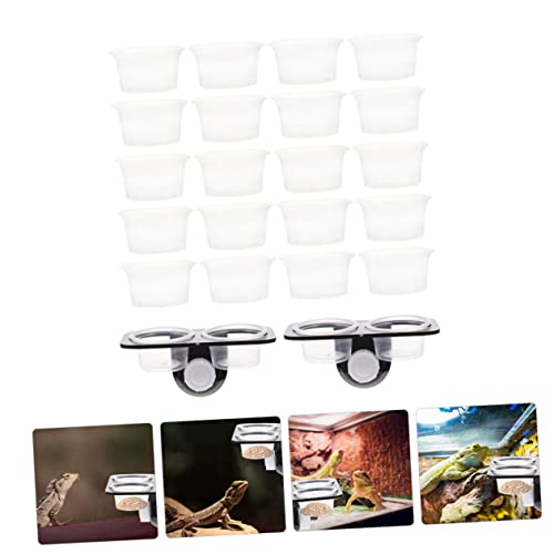 Turtle Tank Accessories Gecko Snake Reptile Feeder Feeding Ledge Easy Install Suction Cup Design