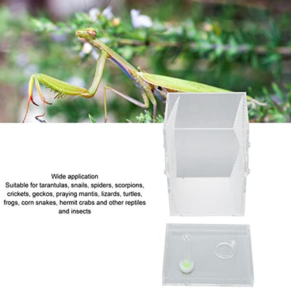 Reptile Enclosure Tank, Mini Acrylic High Transparency Moisturizing Reptile Breeding Box, Acrylic Reptile Cage Terrarium Tank for Tarantula Scorpion Sling Isopods(L)