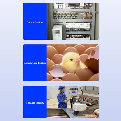 Dual Temperature Controller Digital Thermostat Precision Machined for Reptile Keeping and Refrigerators ABS Material (DC12V) - size: DC12V