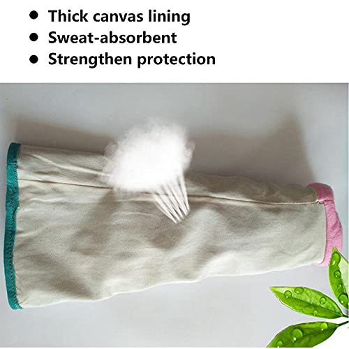 Dog training Thickened anti-bite gloves prevent lizard python's bite gloves