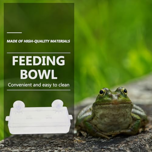 Sosoport Suction Cup Reptile Feeder Acrylic Food and Water Dish with Double Suction for Gecko Lizard Tank Accessories Easy to Clean Reptile Feeding Bowl, 6.10 X 2.95 X 1.37 Inch