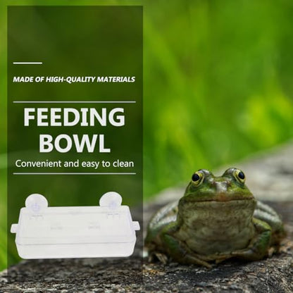 Sosoport Suction Cup Reptile Feeder Acrylic Food and Water Dish with Double Suction for Gecko Lizard Tank Accessories Easy to Clean Reptile Feeding Bowl, 6.10 X 2.95 X 1.37 Inch