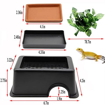 Hamiledyi Reptile Hide Box Gecko Hideout Cave with Sink Humidifier and 4 Pcs Reptile Hideouts Natural Coconut Shells Hut Hermit Crab Climbing Toys for Spider Snake Chameleon
