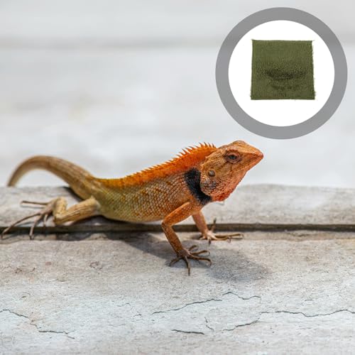Tortoise Bedding Mat Reptile Carpet Substrate Liner for Terrarium Pet Tortoise Lizard Habitat Moisture Retention Washable Reusable Moss Terrarium Mat