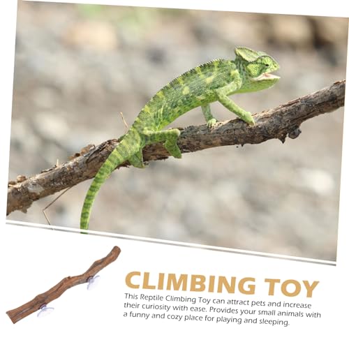BESTonZON Wooden Tree Branch Reptile Accessory for Bearded Dragons Chameleons and Geckos Natural Climbing Rack for Relief and Exercise Terrarium Decoration