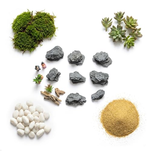Kai Dream Miniature Stones for Terrarium - Tree Bark Diorama Rocks for Miniature Terrain Display - Lightweight Reptile Habitat Decor - NOT for Aquarium Underwater Use - 12 Pcs Slate Stone (1-2 inch) - style: 12P Wooden Slate Rocks