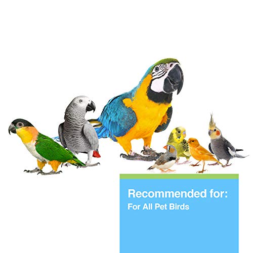 Hagen Clay-Cal Bentonite Clay Supplement for All Birds, Absorbs Toxins, Helps Gut Flora and Source of Calicum, 1.27 lb Bag