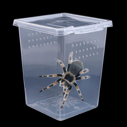 Small Reptile Breeding Box for Reptiles Small Snake Turtle Spiders Geckos Frogs Breeding Box Case Feeding Hatching Container Transparent(C) - style: C
