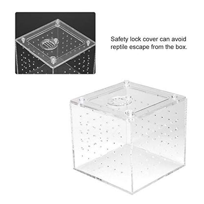 GLOGLOW Nan Clear Acrylic Reptile Viewing Box, Durable Feeding Container for Tarantula and Gecko, 3.9x3.9x3.5 Inch with Ventilation Holes Crawler Breeding Tools, Reptile Hatching Supplies