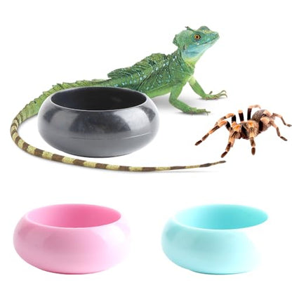 3 Pcs Worm Dish Reptile Food Bowl Tarantula Water Bowl for Spider Tarantula Gecko Lizard Small Reptile