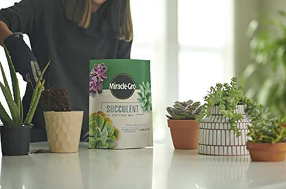 Miracle-Gro Succulent Potting Mix, 4 qt. (2-Pack) | Potting Soil Mix for Indoor Succulents, Aloe Vera and More, Made with Miracle-Gro Plant Food - size: 2 Pack, style: Succulent