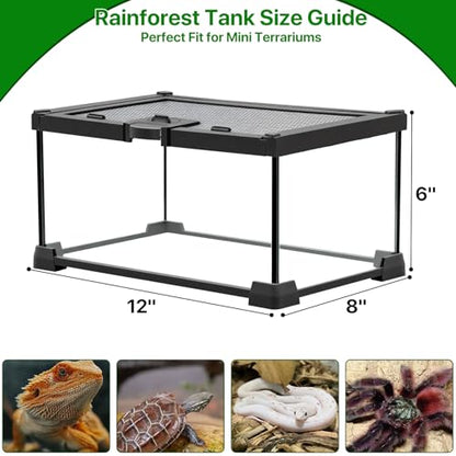 Reptile Terrariums Mini Glass Tank 12" x 8" x 6" Habitat, Top-Opening Mesh Lid with Latch, 360° Clear View, Ventilated Enclosure for Jumping Spiders, Tarantulas, Isopods & Froglets