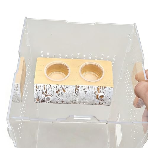 Reptile Feeder Ledge, 5.71x2.95x1.77 Inches Resin PP Magnetic Dish for Gecko Feeding, Hydration, Pet Care, Vivarium Organization, Supply Storage