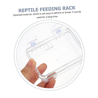 BESPORTBLE 2PCS Reptile Feeding Bowls Suction Cups Washable Lizard Food and Water Dishes Escape-Proof Reptile Feeders for Bearded Dragons Geckos Tortoises