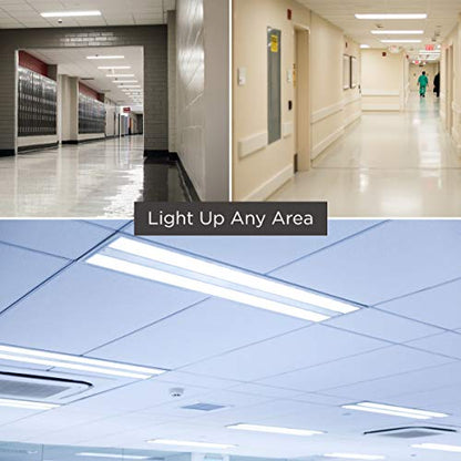 GoodBulb 32-Watt 48-Inch T8 Fluorescent Light Bulb 5700K Daylight White Color Medium Bi-Pin Base 3100 Lumens 88 CRI 24000 Life Hours Instant/Programmed Start Pack of 30 - color: 5700k