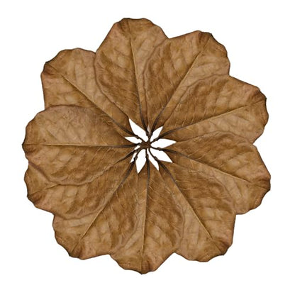 SunGrow Leaf Litter for Snakes, 10 Pcs Medium Indian Almond Catappa Leaves Substrate Maintain Humidity in Corn Snake and Ball Python Terrarium, 4-7 Inches, Reptile Tank Decor Accessories