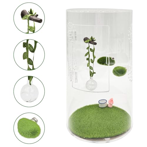 Jumping Spider Enclosure Accessories, 1 Glass Ball Habitat Hide with Green Rope and Artificial Tree Branch 2 Green Platform, Jumping Spider Enclosure Decor