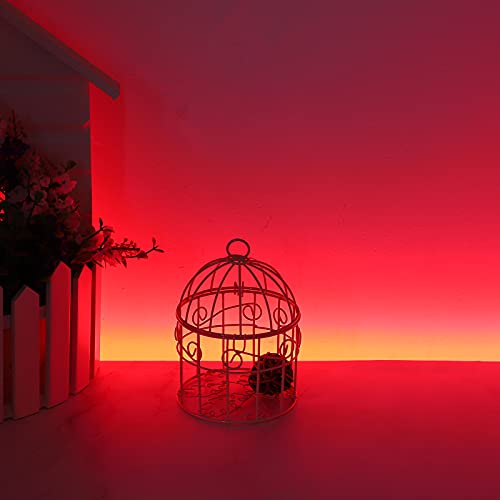Red Waterproof 600 LEDs Strip Lights, SUPERNIGHT 12 Volt LED Light Strips 16.4FT LED Rope Lighting for Boat Bedroom Car TV Backlighting Christmas Party - color: Red