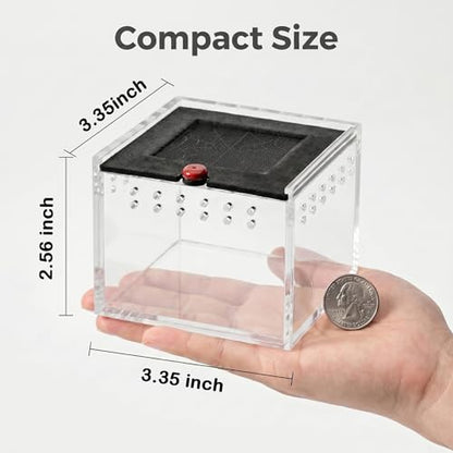 Cricket Keeper - Escape-Proof Insect Habitat Container for Dubia Cockroaches, Tarantulas, Spiders and Breadworms - Ventilated Bug Cage with Feeding Bowl (No Assembly Needed) (Transparent) - color: transparent