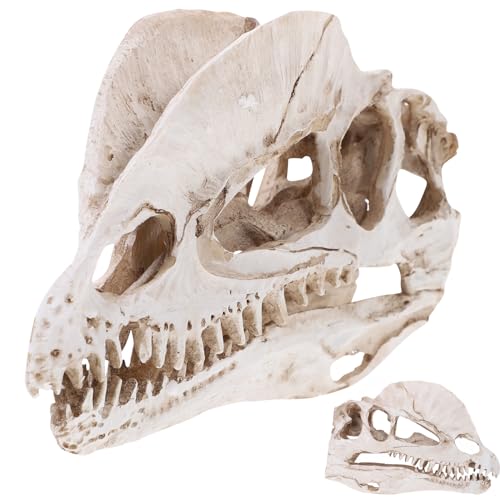 NUOBESTY Resin Dinosaur Skeleton Aquarium Decoration Dinosaur Skull Skeleton Ornament Fish Tank Aquarium Terrarium Decoration