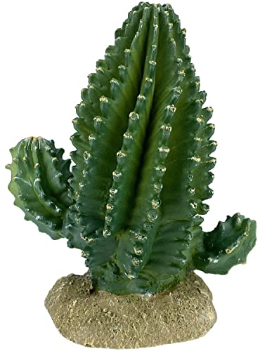 Multi Pet 48593320: Komodo Cactus Plant Columnar, 5.9In