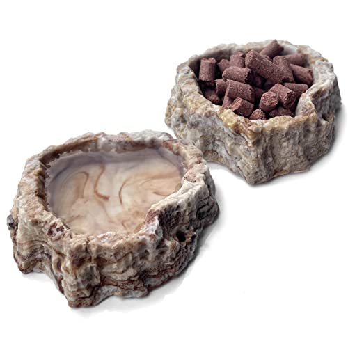 2 Pack Reptile Food Bowls - Reptile Water and Food Bowls with Tongs Imitating Natural Rock，Breadworm Feeding for Leopard Gecko Lizard Spider Scorpion Chameleon (2 Pcs Light Color) - color: 2 Pcs light color