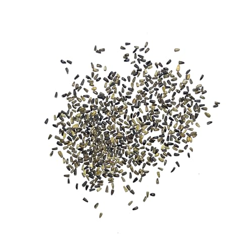 Seed Needs Garnet Stem Dandelion Seeds to Plant Heirloom & Non-GMO 2 Packs - size: 2 Packs, style: Garnet Stem Dandelion