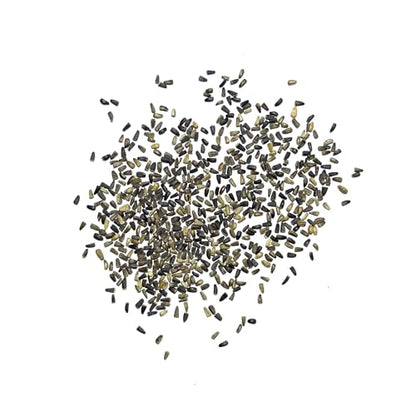 Seed Needs Garnet Stem Dandelion Seeds to Plant Heirloom & Non-GMO 5 Packs - size: 5 Packs, style: Garnet Stem Dandelion