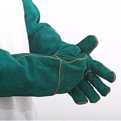Animal Handling Gloves - 60CM Durable Bite & Scratch Resistant Gloves for Bathing, Grooming, Welding, Handling Dogs, Cats, Birds, Snakes, Parrots, Lizards, Reptiles - color: Green, 60 Cm