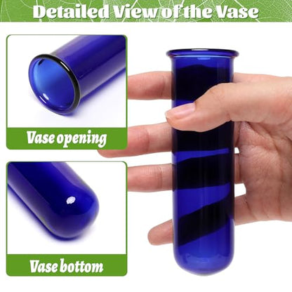 Glass Plant Propagation Station with 5 Test Tubes Colorful Planter Vase Birthday Gifts for Women in Wooden Stand - color: Blue
