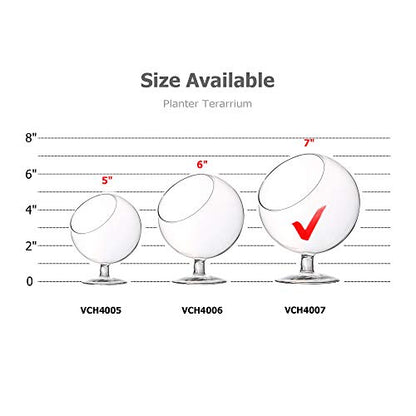 WGV Planter Terrarium with Stand, Ball Diameter 6" Height 7", Clear Glass Floral Container Vase, DIY Succulents Outdoor Garden Home Office Decor Slant Cut Orb, 1 Piece - size: 6"D