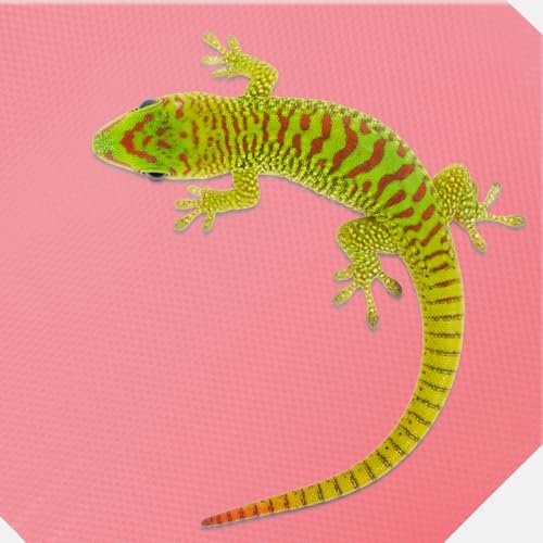 Reptile Carpet Substrate Pad for Terrarium Easy-Clean Lizard Tank Mat Suitable for Bearded Dragon Gecko Snake Tortoise Bedding Accessories