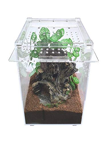 Herpcult Magnetic Acrylic Small Tall Enclosure 6 x 6 x 9.5