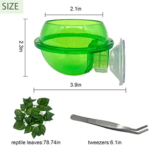 Chameleon Feeding Bowl with Suction Cup,Reptiles Feeder Water Bowls Anti-Escape Worm Live Fodder Translucent Container Ledge Dish Supplies for Lizard Bearded Dragon Gecko Snake(4Pcs)