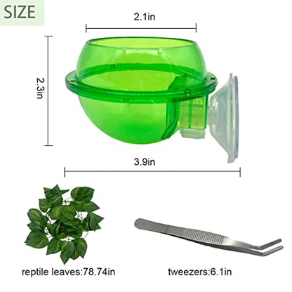 Chameleon Feeding Bowl with Suction Cup,Reptiles Feeder Water Bowls Anti-Escape Worm Live Fodder Translucent Container Ledge Dish Supplies for Lizard Bearded Dragon Gecko Snake(4Pcs)