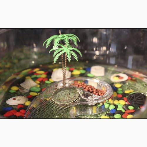 OMEM Portable Reptile House Terrarium Habitat Clear and Breathable (Large) | Clear, Breathable - size: Large