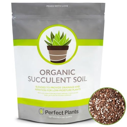 All Natural Succulent and Cactus Soil Mix by Perfect Plants | Made in the USA | 4 Quarts for All Succulent Varieties | Formulated for Proper Drainage - size: 4 quarts