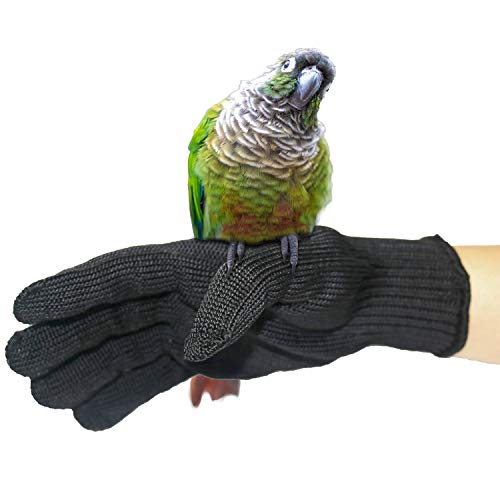 Bird Training Anti-Bite Gloves, Level 5 Protection, Parrot Chewing Working Safety Protective Gloves for Cockatiels - color: 2 Pairs