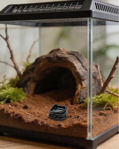 9 PCS Spider Micro Water Bowls, Mini Resin Dishes for Tarantulas, Spiders, Hermit Crabs, Millipedes and Tiny Reptiles, for Food & Water