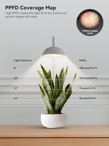 GLOWRIUM Smart Grow Lights for Indoor Plants,10W Full Spectrum Plant Lights with Bluetooth App Control, 360° Flexible Gooseneck Grow Lamp, Auto Timer 3/9/12Hrs, 10 Brightness for Small Plants (White) - color: White