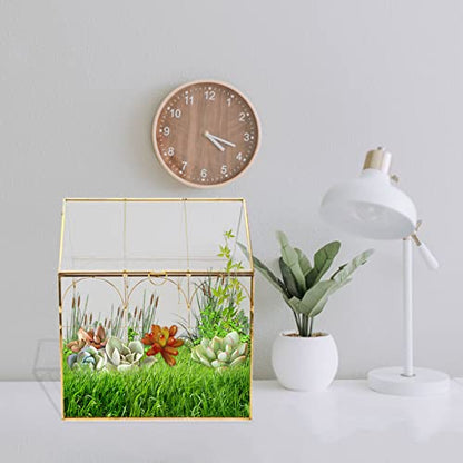 HighFree Geometric Plant Terrarium with Lid, House Succulent Terrarium Kit for Display, Air Plants, Succulents, Home Tabletop Miniature Terrarium, Not Airtight or Waterproof (Gold) - color: Gold