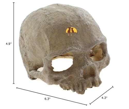 Emours Reptile Hideout Skull Vivarium Aquarium Fish Tank Resin Ornament Cave Decoration, Small