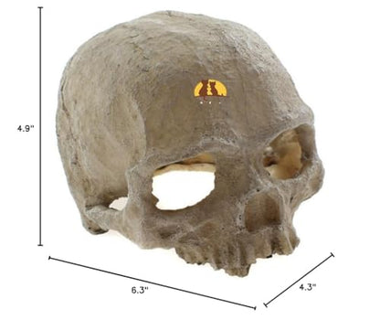 Emours Reptile Hideout Skull Vivarium Aquarium Fish Tank Resin Ornament Cave Decoration, Small